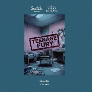 Switch Teenage Fury (Свитч Тинэйдж Фьюри)