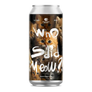 Midnight Project Who Said Meow?!
