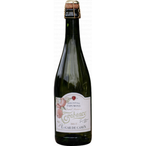 Trabanco Lagar de Camín Brut (Сидр игристый Натурал Эспумоса Трабанко Лагар де камин брют двойная ферментация,100% яблочный сок)